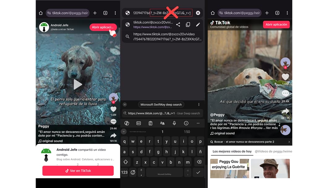ver videos tiktok sin cuenta