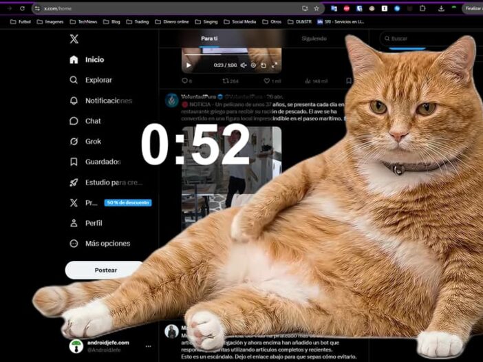 cat gatekeeper review