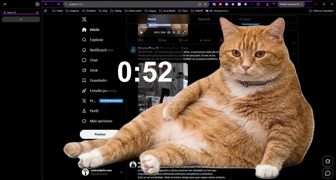 cat gatekeeper review