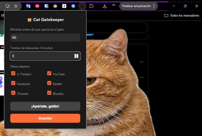 gato en pantalla chrome extension